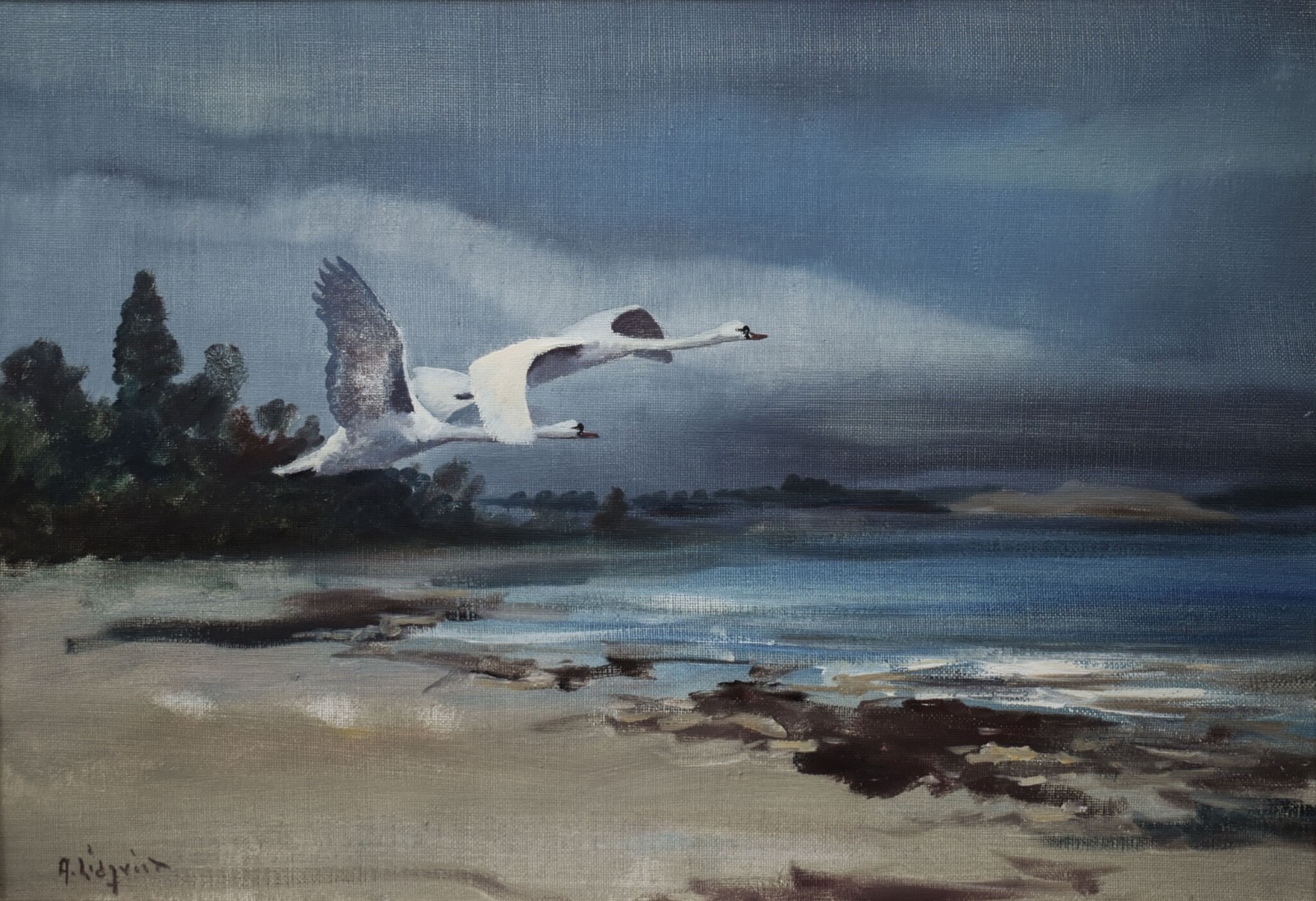 Swedish Swans Coastal Landscape Oil Painting Signed Arne Lidqvist Wildlife Art