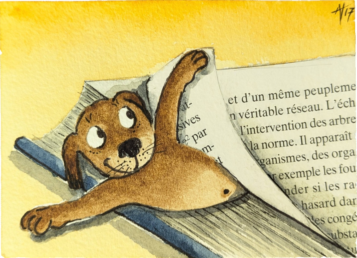Original ACEO «Dog’s Ear», Dog Eared (Book), By French Artist Annye Vanston