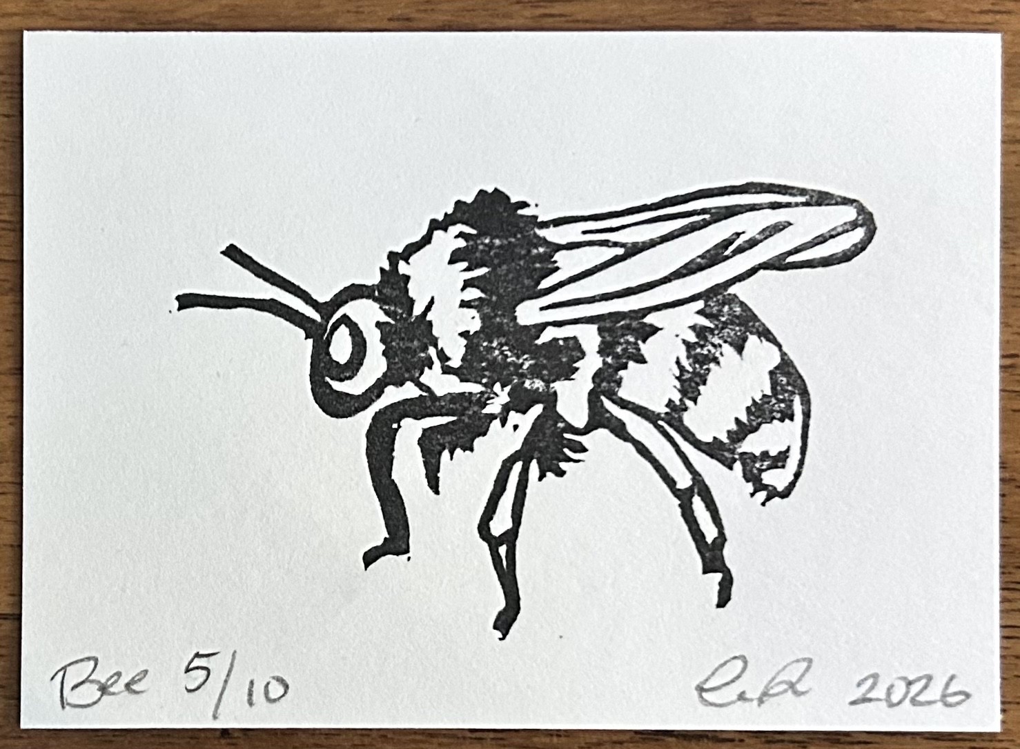 aceo original art by Emily Beck, Bee 5/5, linocut insect art, 3.5×25″