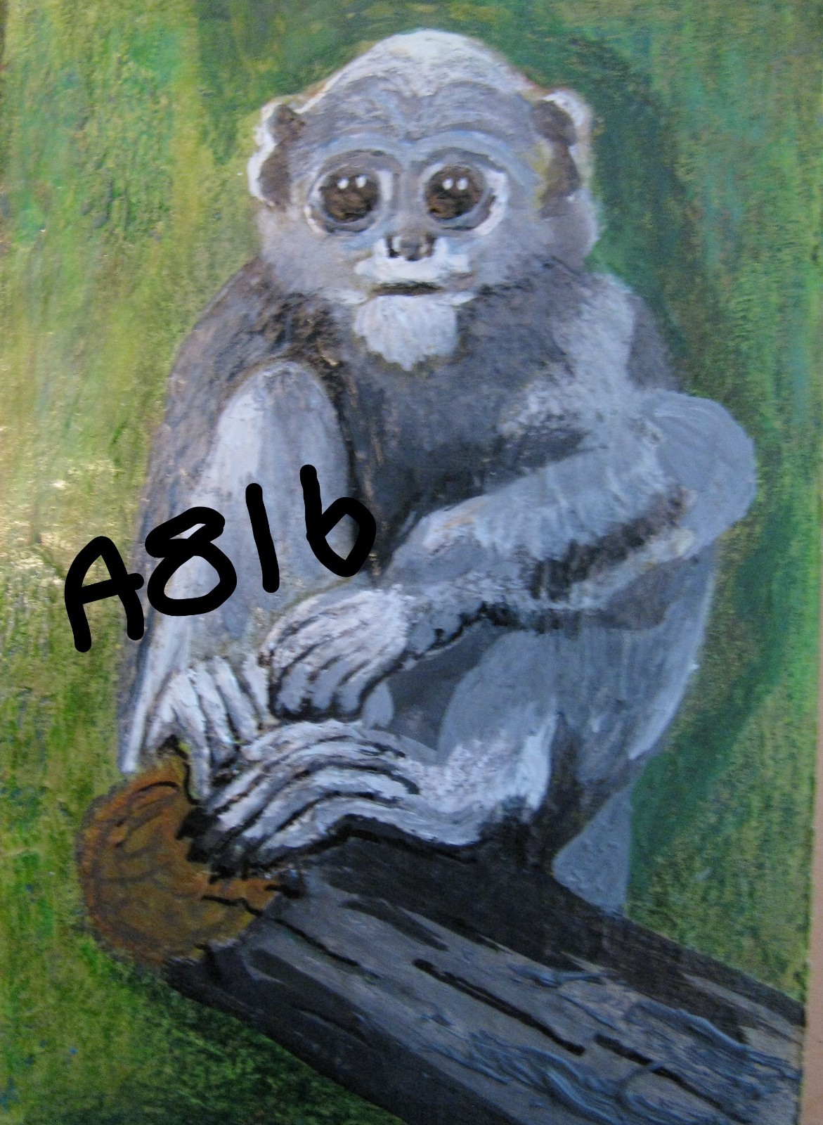 A816 ORIGINAL ACRYLIC ACEO PAINTING BY LJH «DUSKY LANGUR» MONKEY