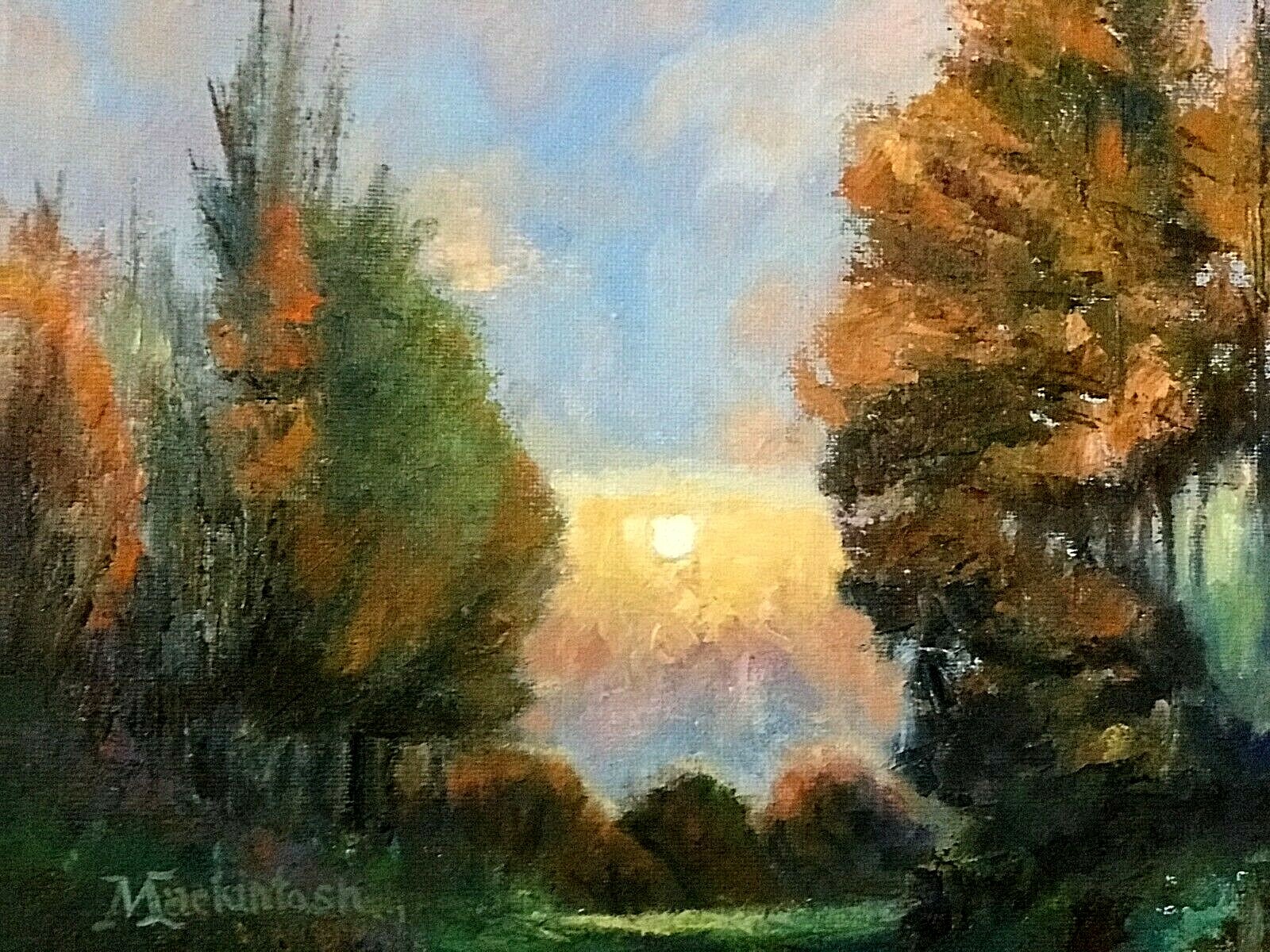 Setting Sun: casts a depth of colors on the green grass then lightens the trees