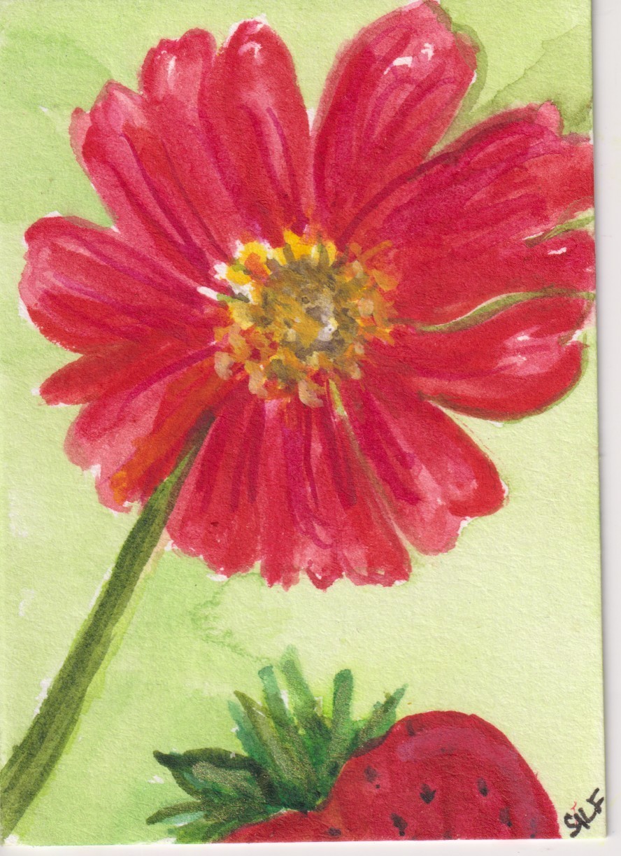 Original ACEO Red Zinnia & Strawberry Watercolor Painting art by Sharon Foster