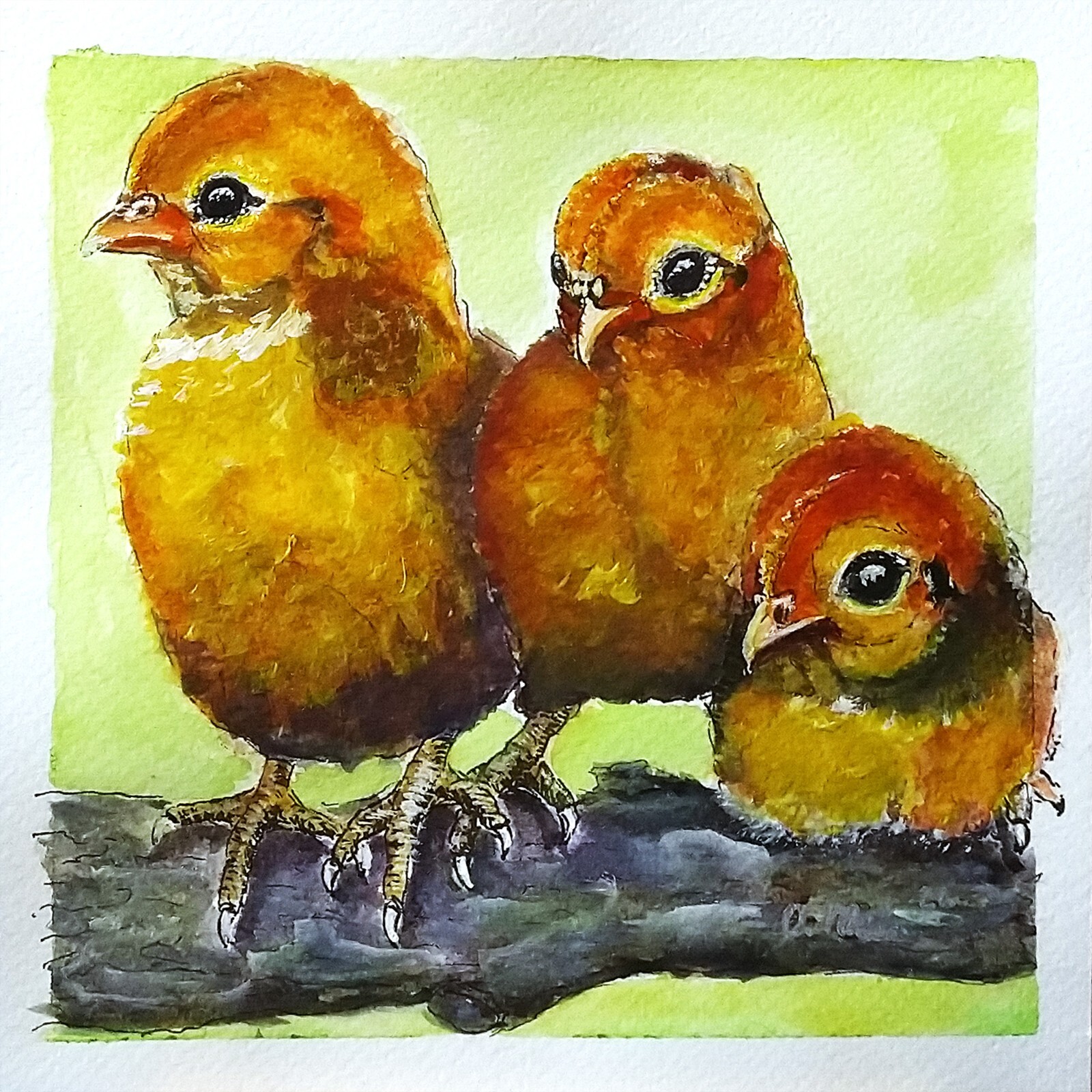 Original modern painting Baby Chick Bird Farm Animal Watercolor hand painted art