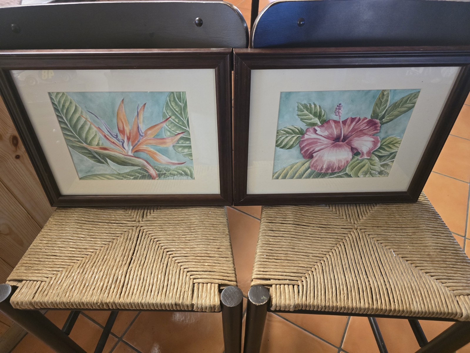 Hand drawn beach Florida Tropical Flower Picture