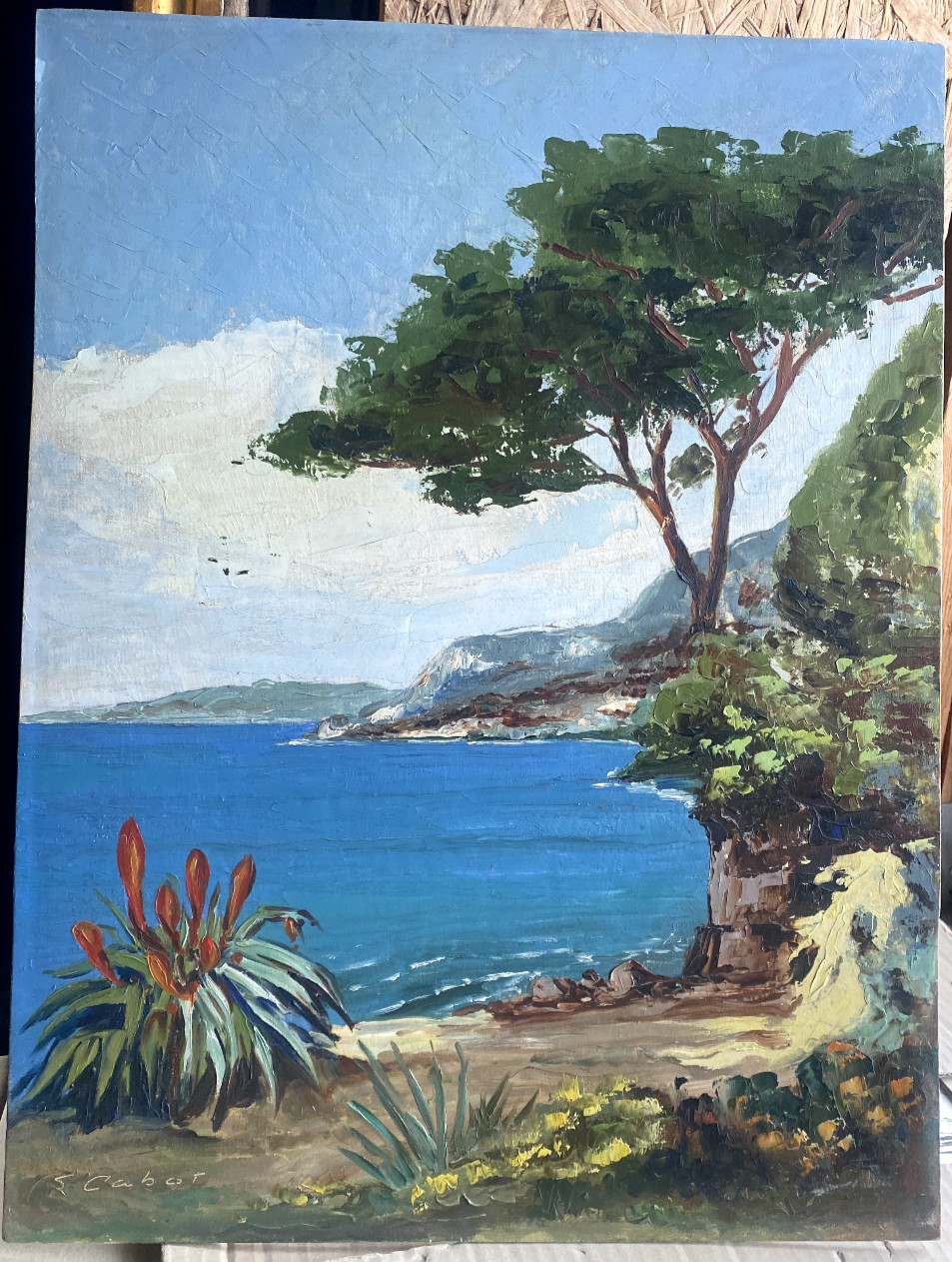 ::S. CABOT KÜSTE ADRIA MITTELMEER AGARVE STRAND PINIE URLAUB MEDITERRAN UFER ÖL