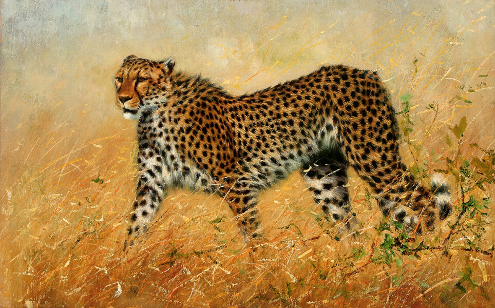 Art Giclee Printed Oil Painting Print African leopard Canvas