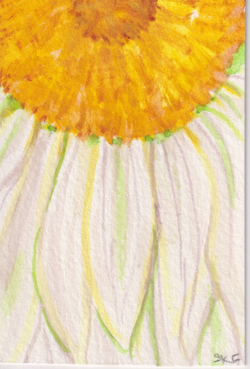 Daisy Flower ACEO Original White Daisy Watercolor Painting
