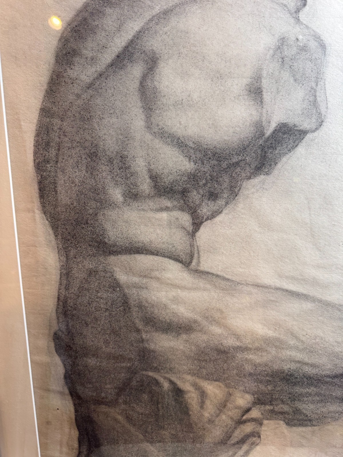 Baltimore School Original Charcoal Anatomical Torso Figure Study Framed Signed