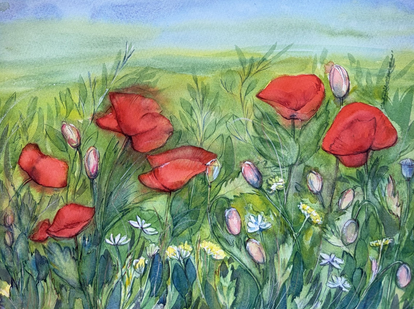 Original Watercolor Poppy Meadow Painting, Red Wildflowers Landscape Floral Art