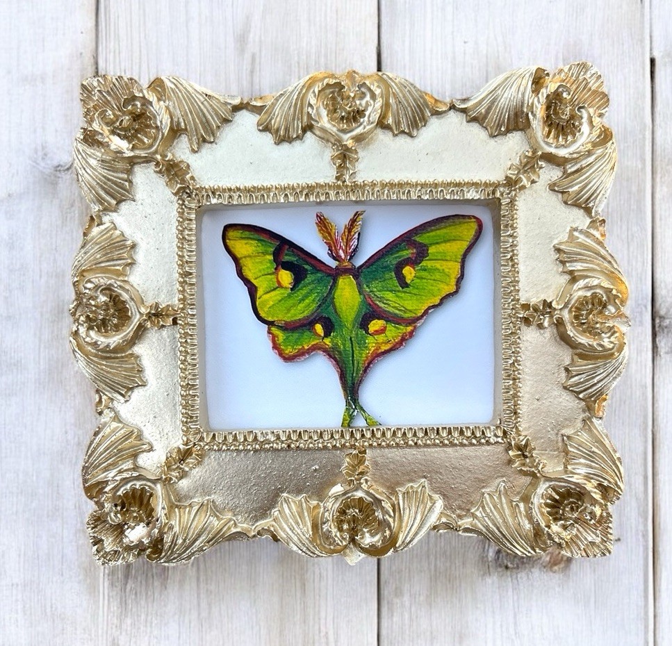 Luna Moth mini watercolor print in vintage style gold ornate frame