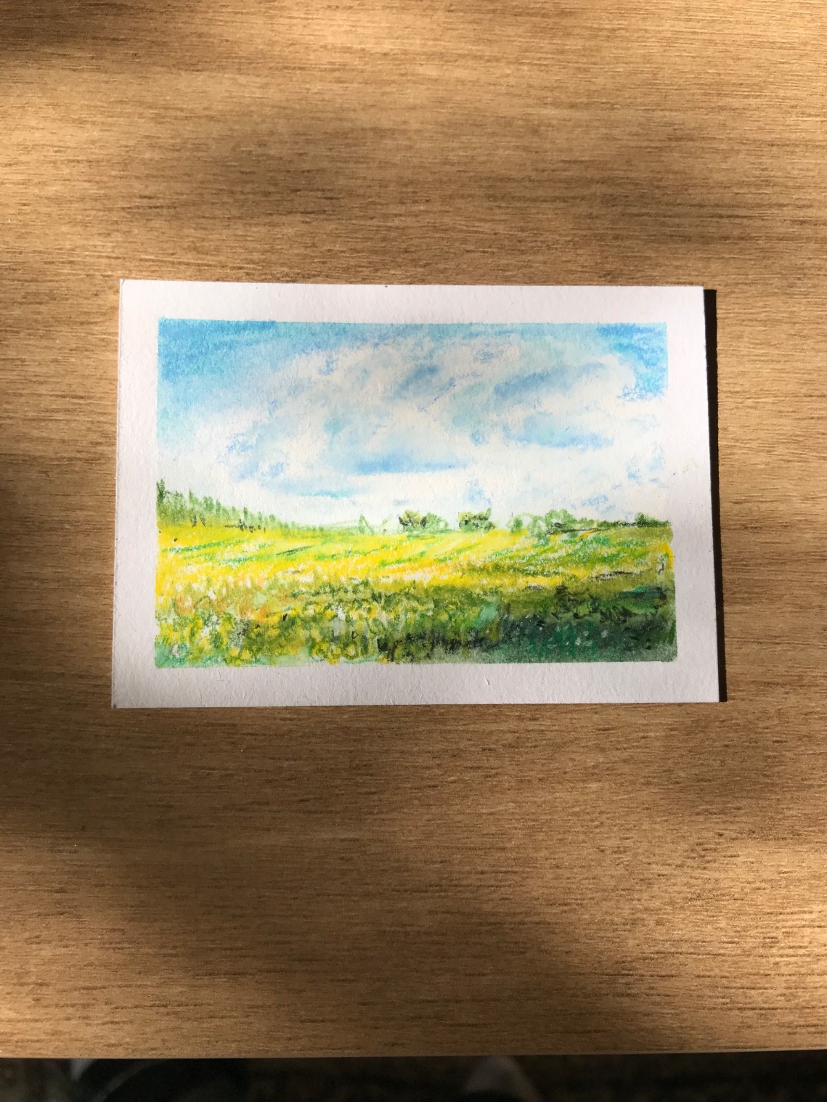 ACEO Original Summer Landscape OOAK Direct From Artist «Mellow» Carmen Marie