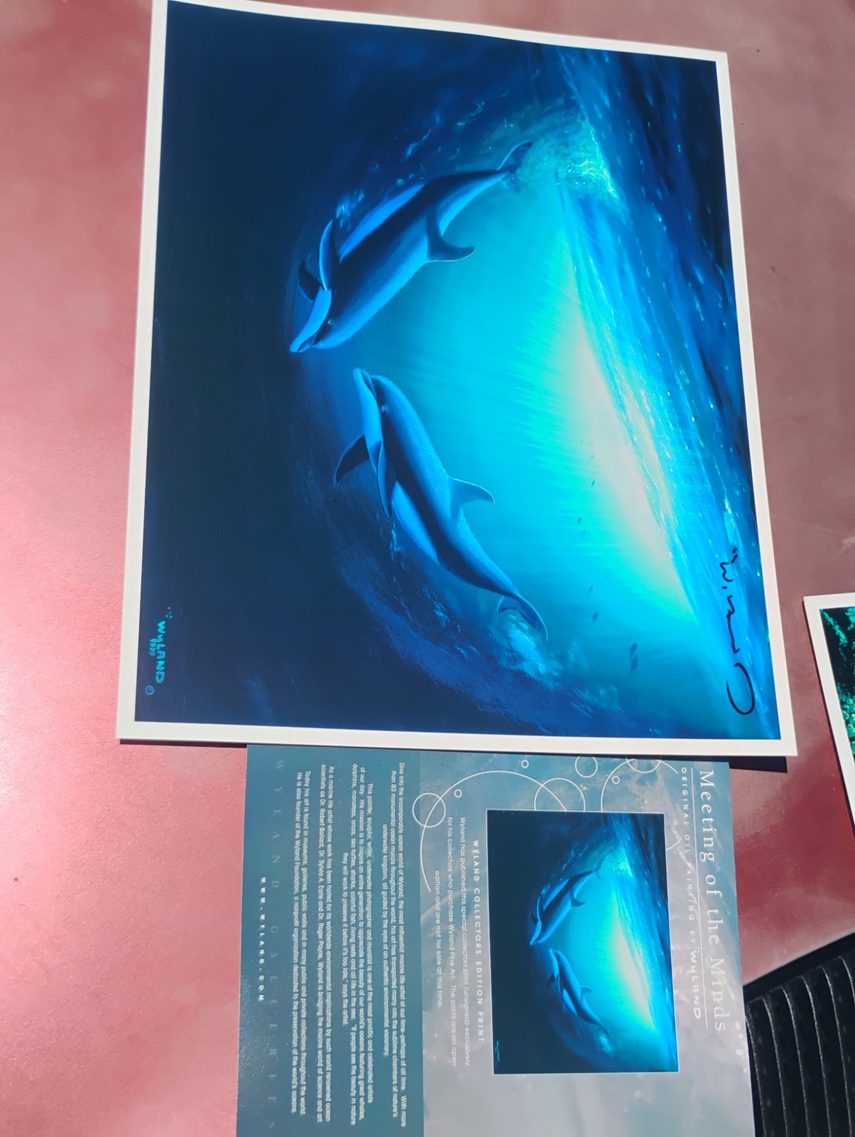 Wyland «Meeting Of The Minds» Original Oil Painting Collector’s Edition