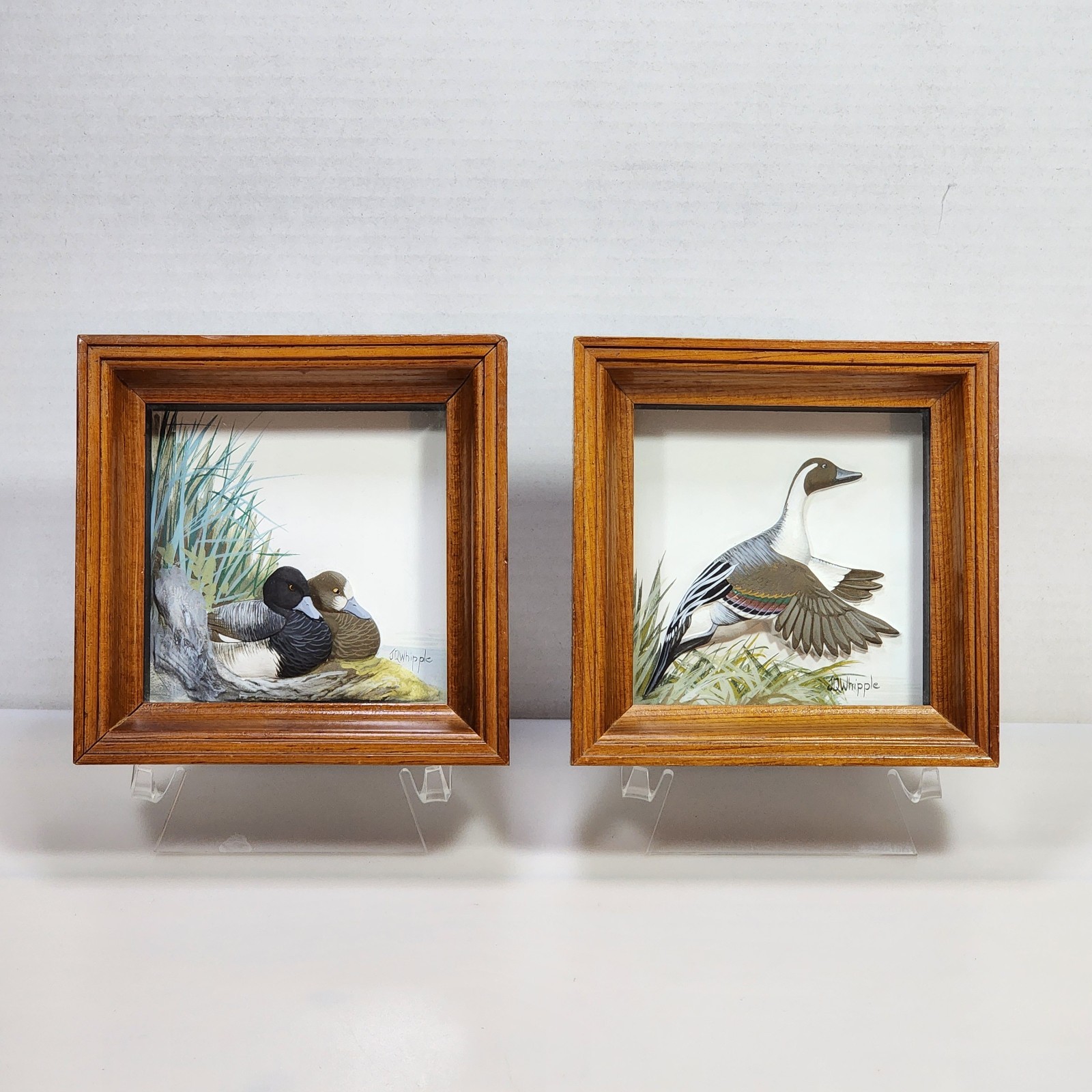Pair Joseph Q Whipple Hand-Carved Painted Signed Shadowbox Scaups/Pintail Duck