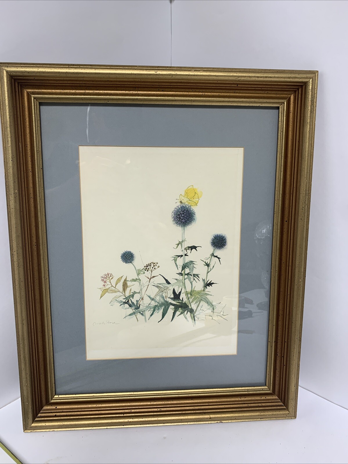 Original Watercolor By Mads Stage, Thistle & Butterfly 13″x 9″