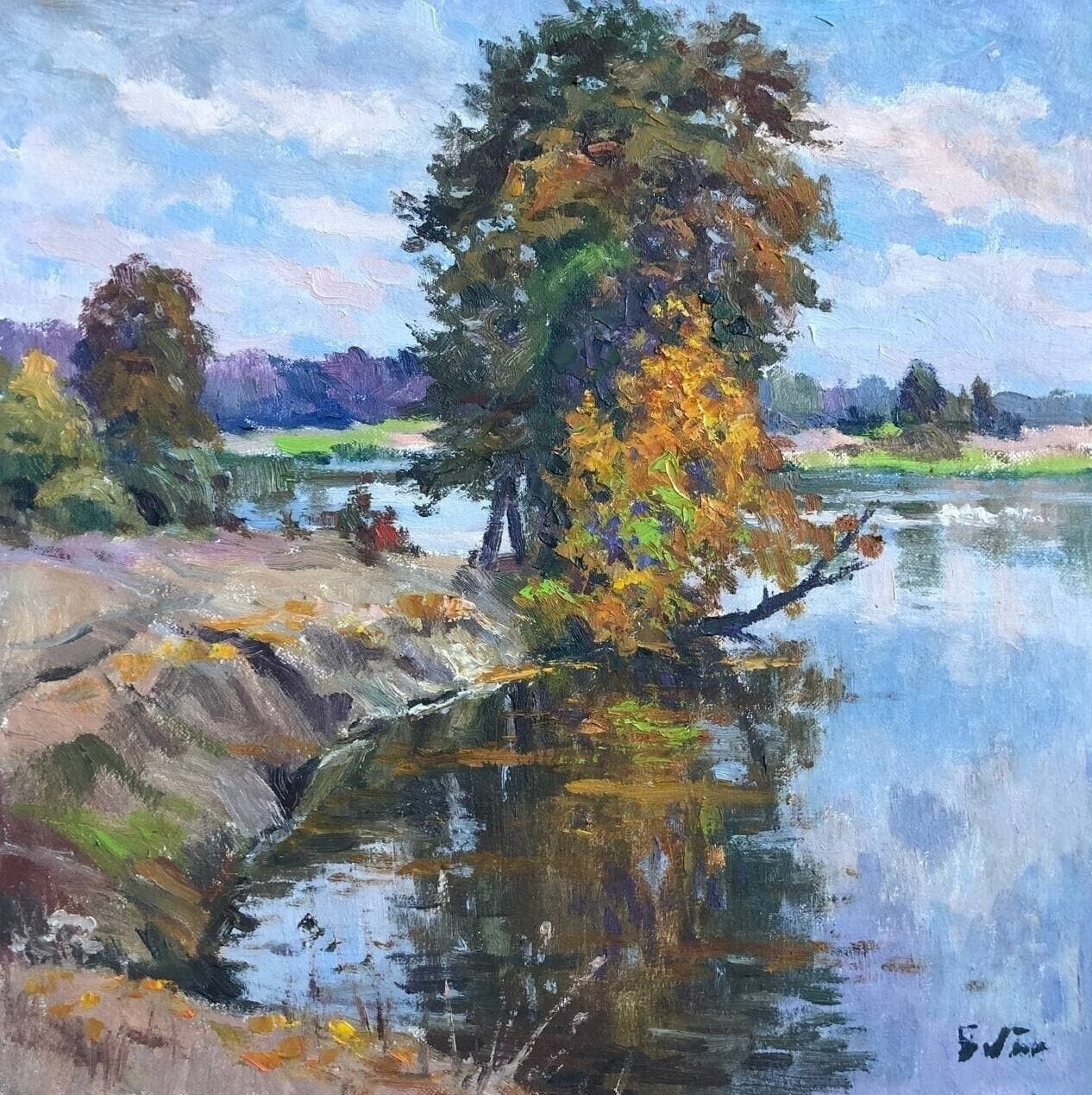 Oil painting Fallen tree Unframed nature painting original artwork signed art