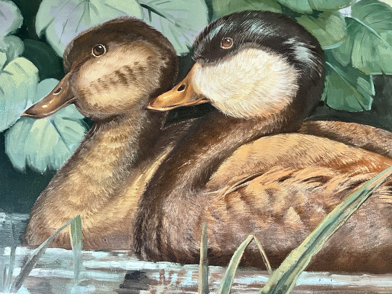 Vintage Oil Painting Ruddy Ducks Signed F. John Framed 20×24 Wildlife Art