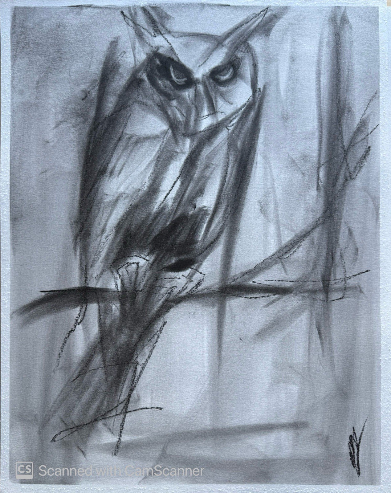 Owl Sketch 11×14 Pastel on Paper Moody Wildlife Bird Art