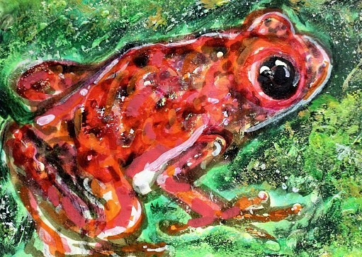 ORIGINAL ACEO Painting POISON DART FROG Amphibian Animal Spring Nature ATC ART