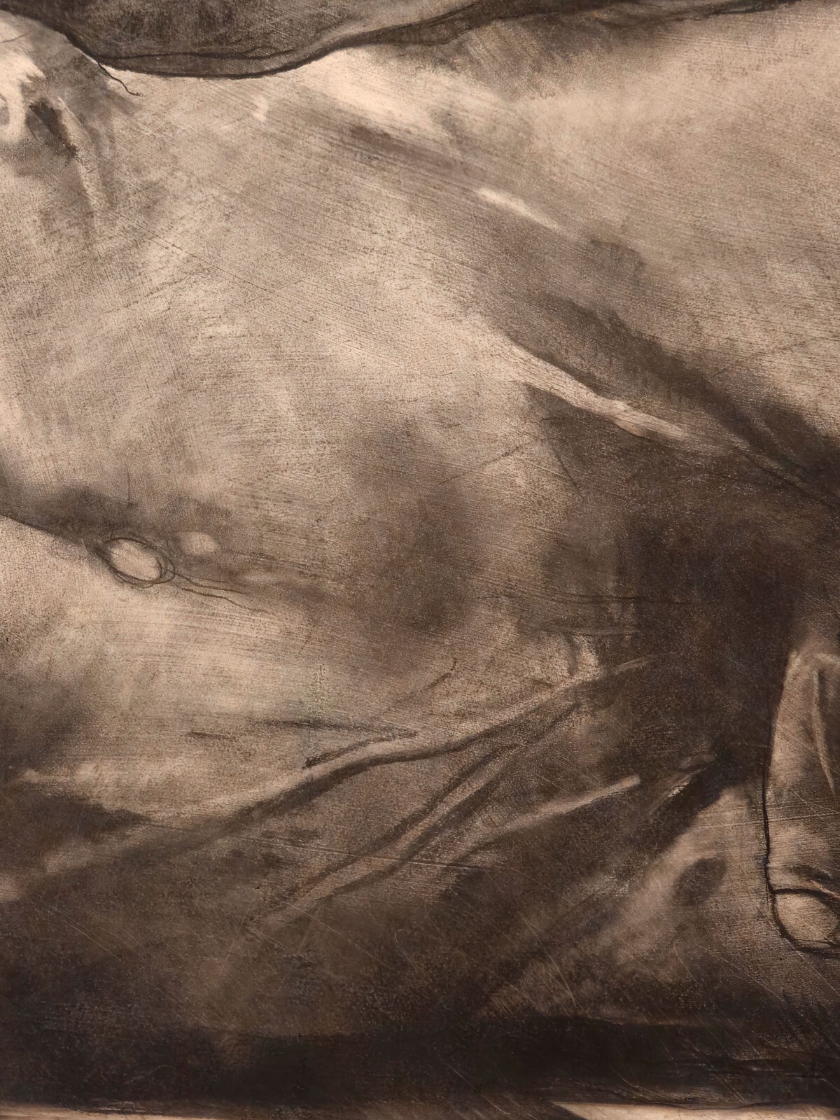 Luis Caballero «Untitled» Charcoal Oil and Pencil on papered canvas