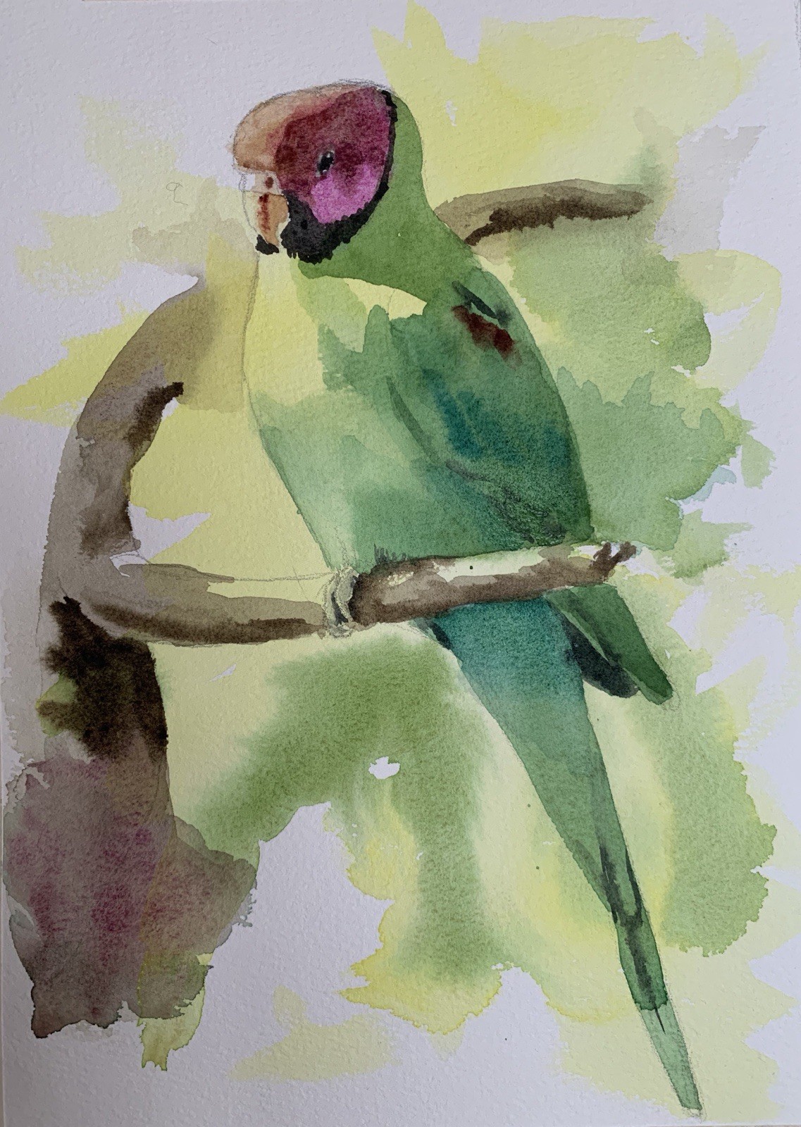 Custom pet portrait commission original watercolor painting sympathy gift art