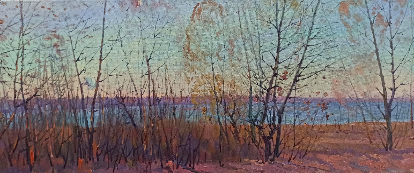 Oil Hand Painting Canvas Autumn Landscape Tovpev P. Original Framed nDobr171