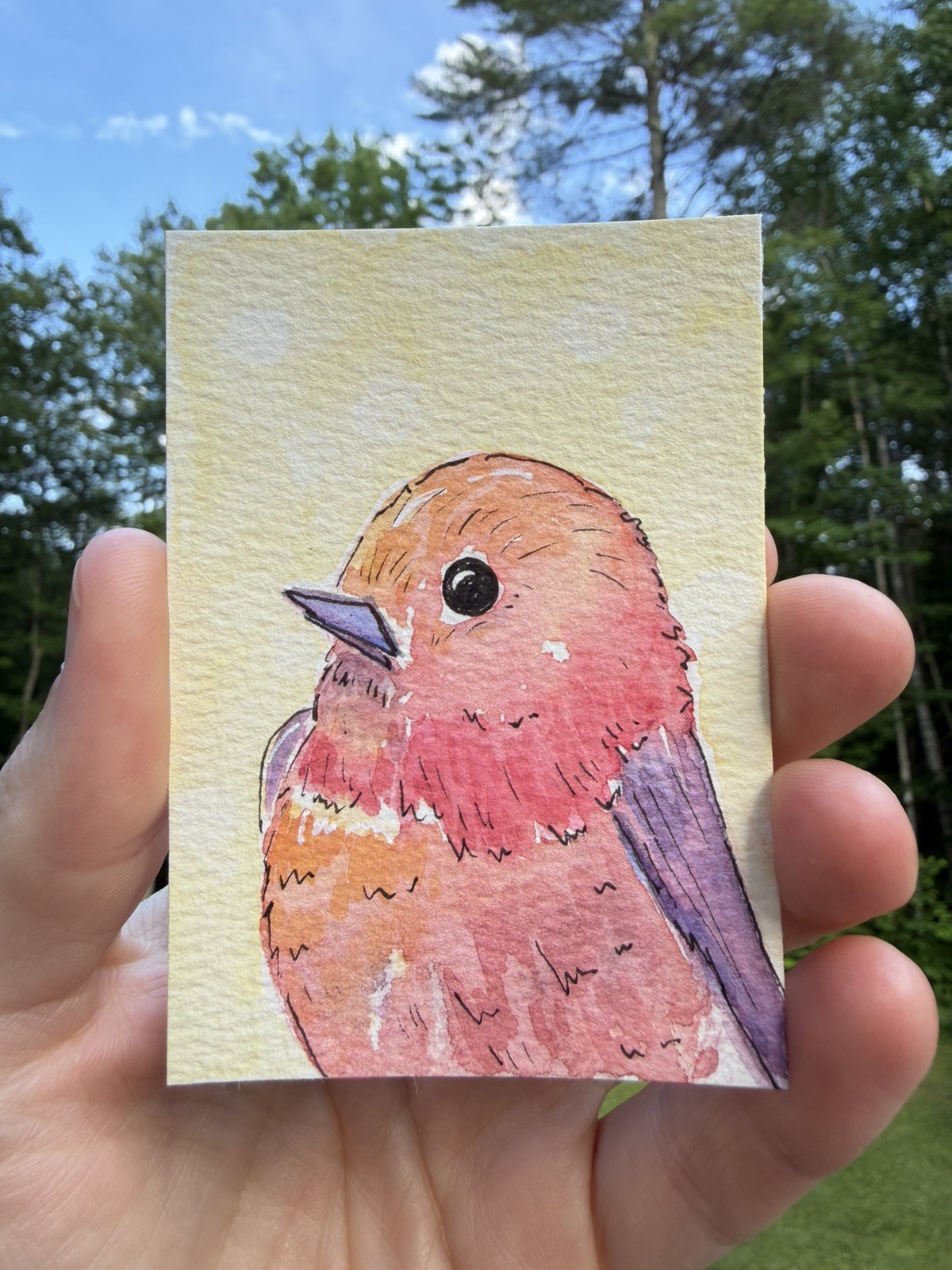ACEO Original cute bird, animal cartoon illustration wildlife 2.5 x 3.5in