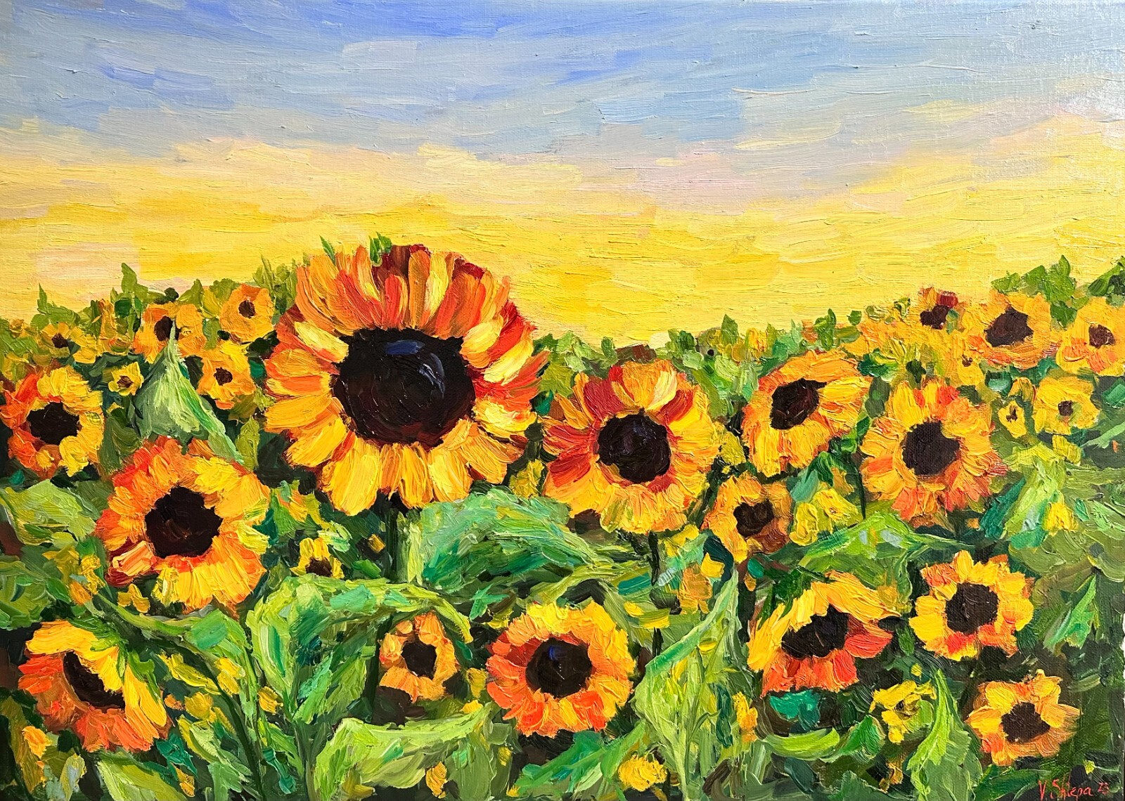 Sunflowers Field Original Oil Painting Landscape Flowers Ukrainian Artist 20×27″