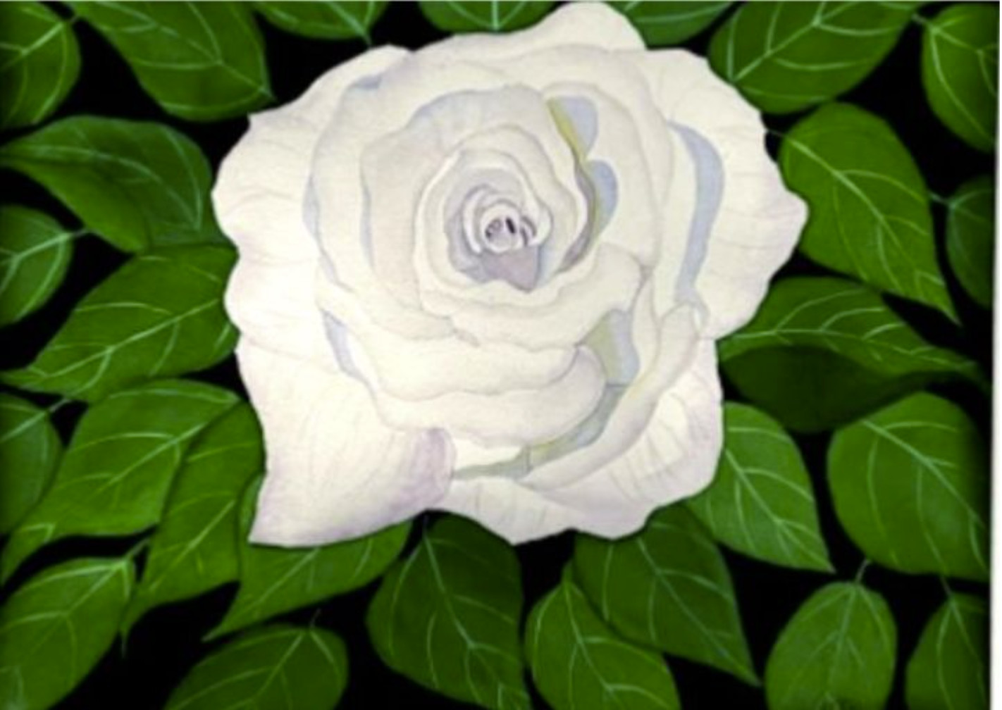 PAINTING WATERCOLOR 11X14 AND WHITE MAT 16X20 FLOWER ROSE WHITE GREEN ORIGINAL