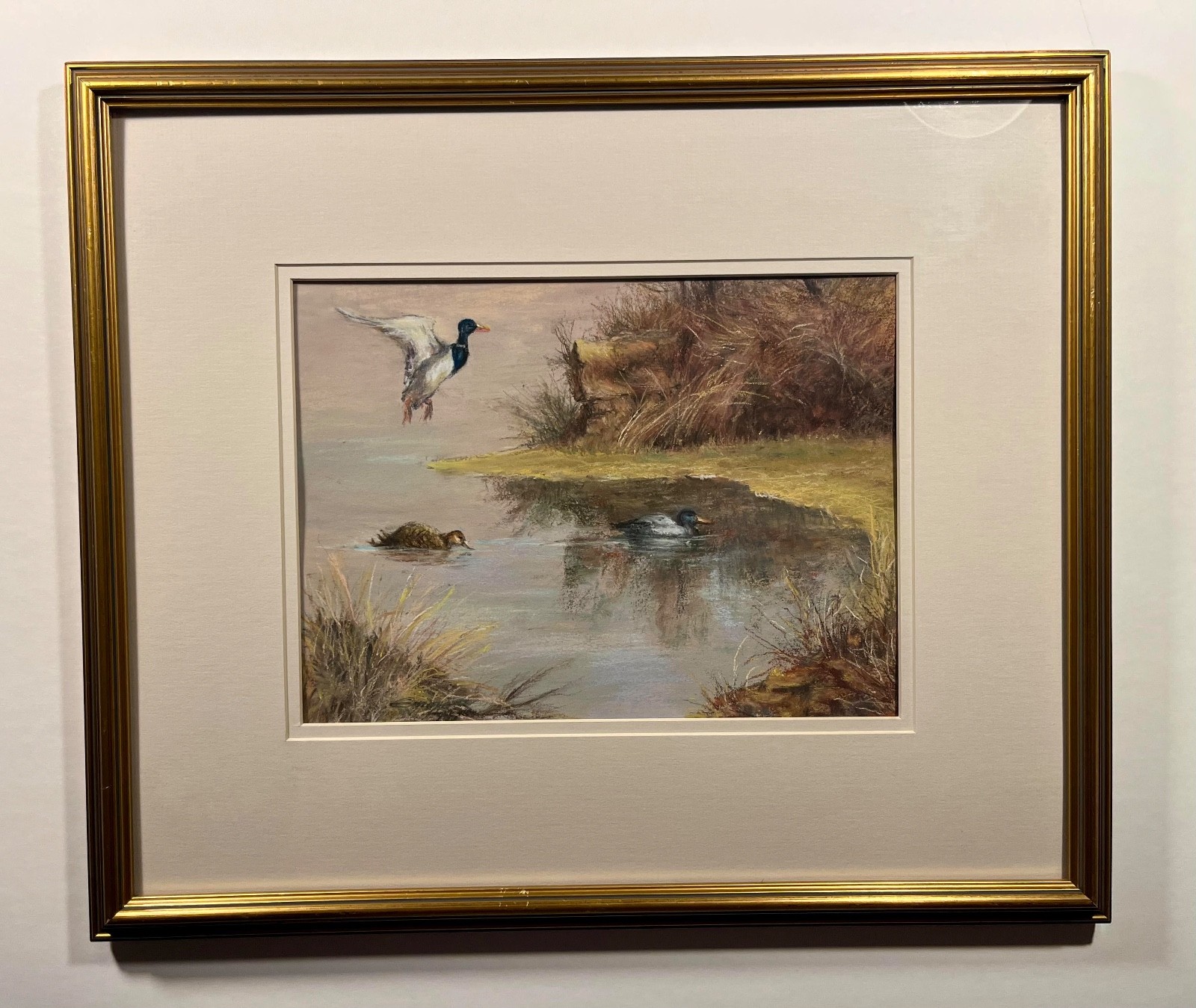 Vintage «Soft Landing» Original Pastel Wildlife Painting by EMMA ANGELI AMODIO