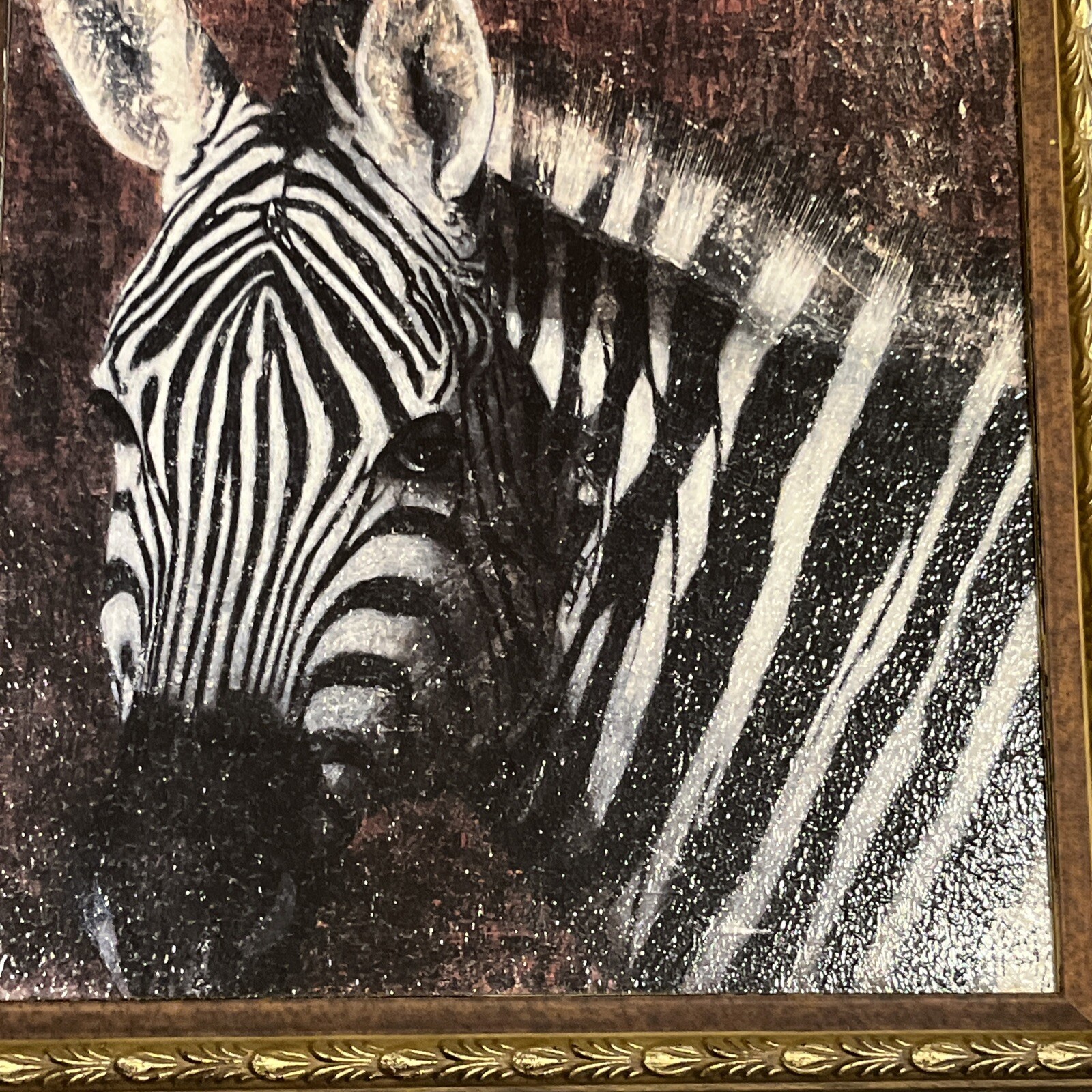 Zebra Framed Wildlife Art Victorian Gold Style Frame Wall Home Decor 17.5×17.5”