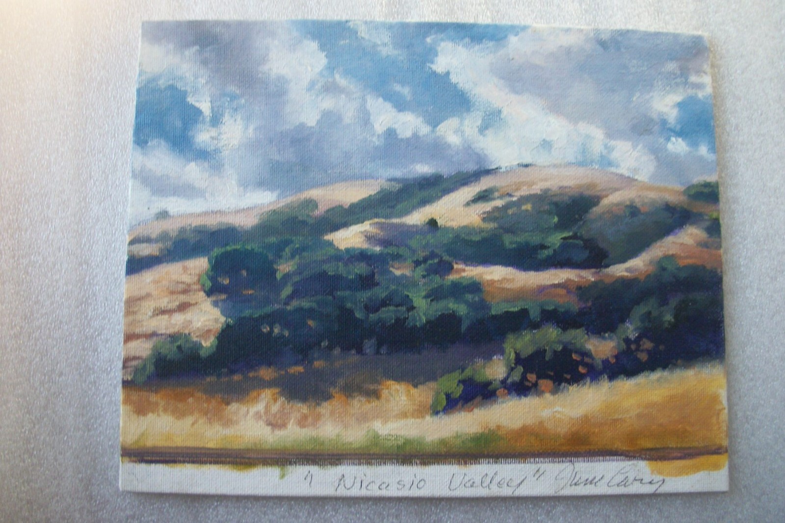 June Carey Original Painting – Nicasio Valley – California Landscape Painting