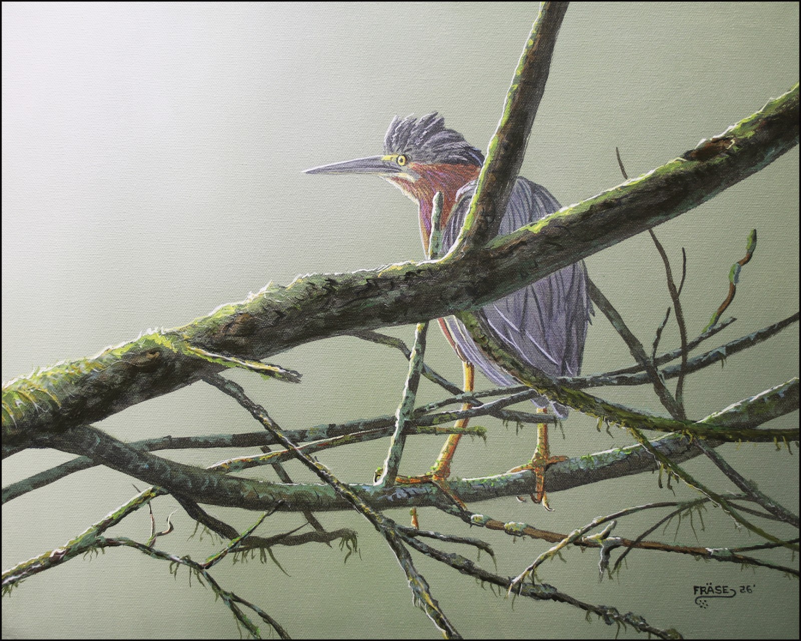 FRASE ORIGINAL PAINTING LITTLE GREEN HERON BIRD WILDLIFE ART DUCK STAMP ARTIST