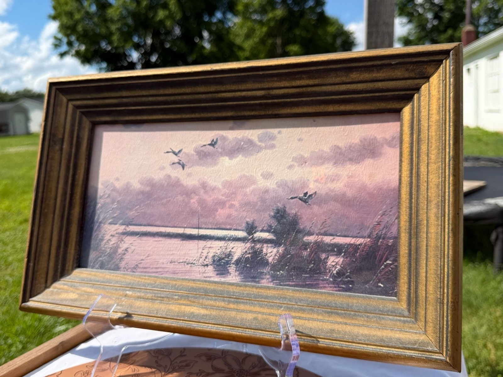 Mallard Ducks Landscape