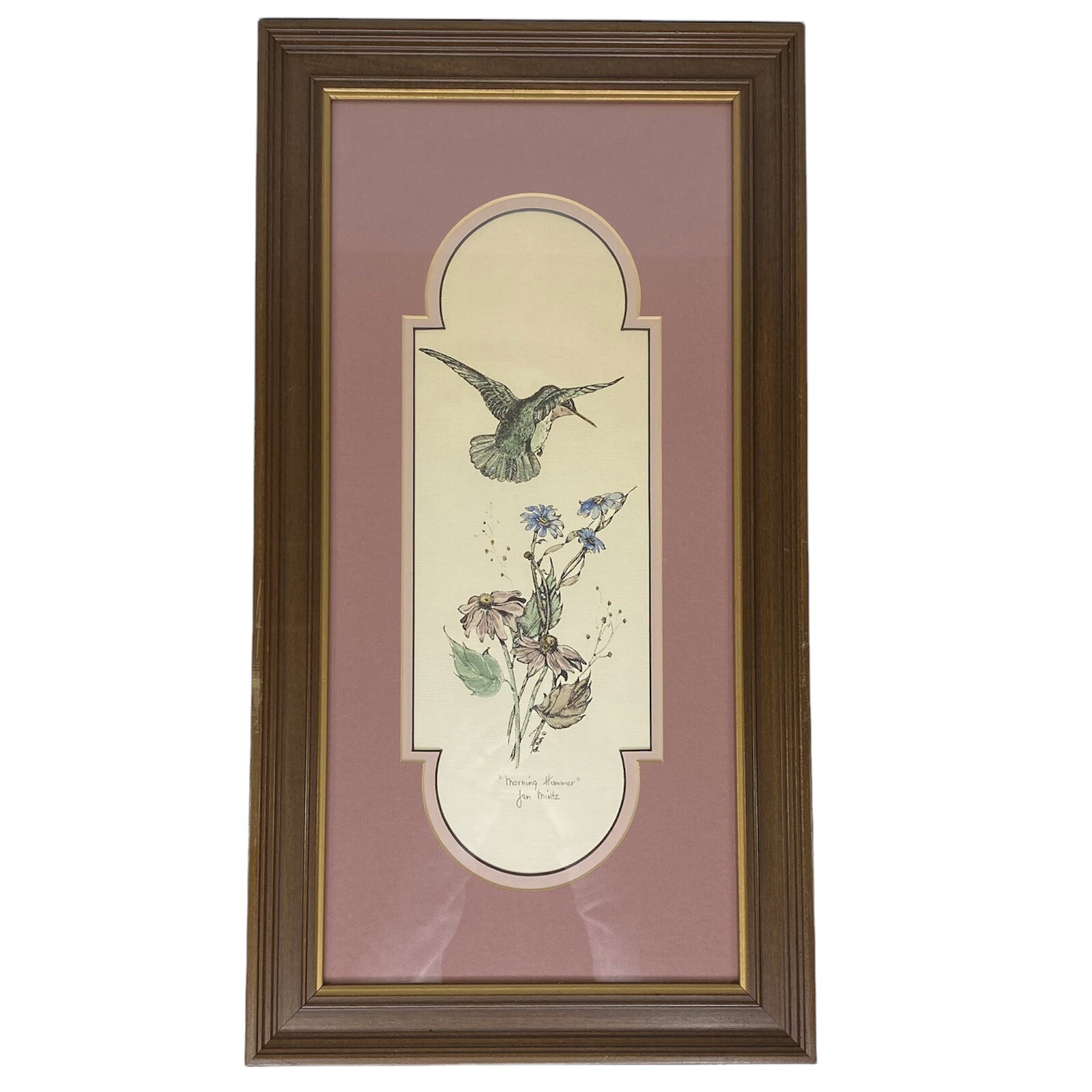 Jan Mintz Pen Ink Watercolor Morning Hummer Flowers Hummingbird Framed Art