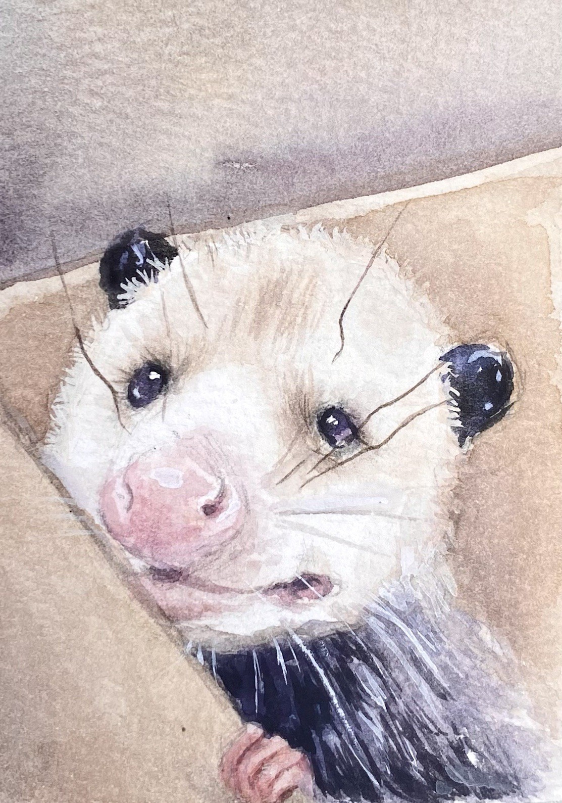 ACEO 100% Hand Painted Original Mixed Media Painting Art Opossum
