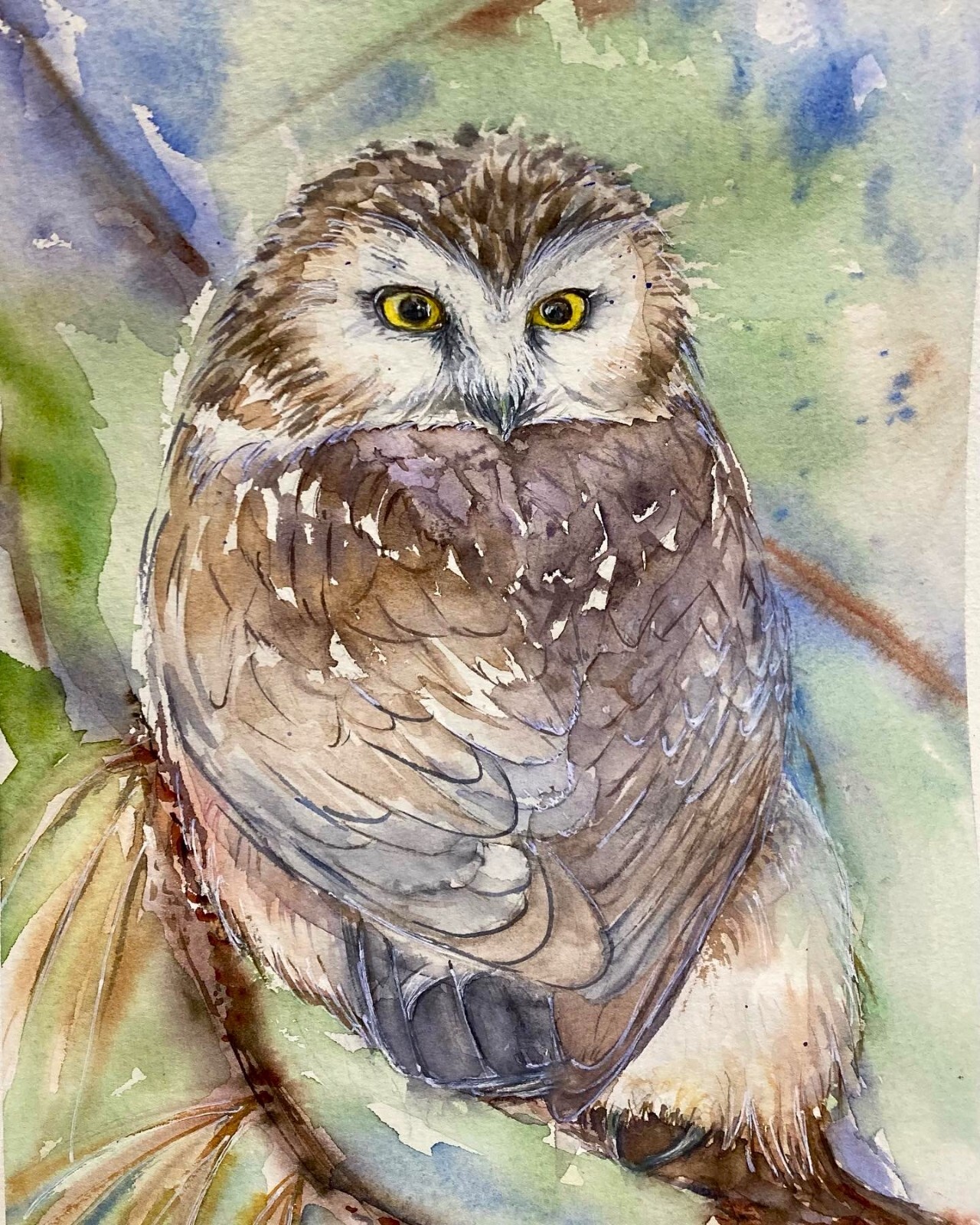 Original Watercolor Painting Northern Owl Bird – Art by Liz Altin