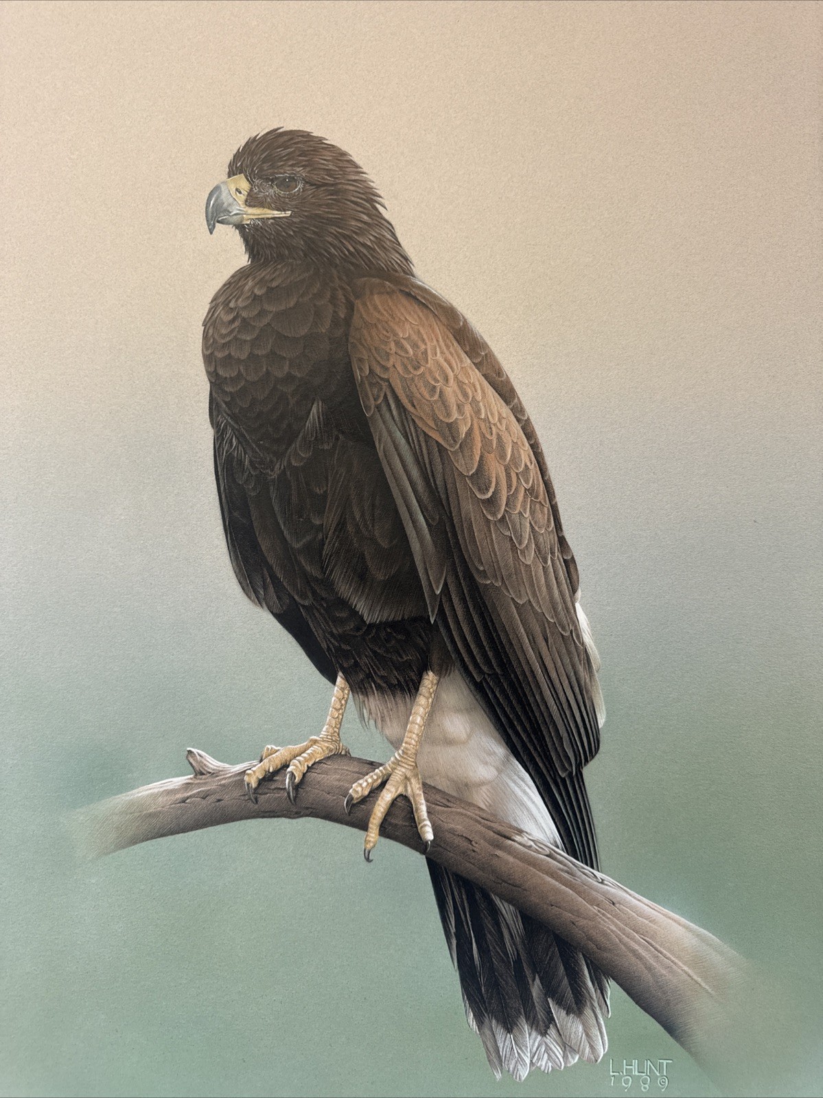 REALIST PAINTING EAGLE BIRD REALISM LARRY HUNT EXHIBITED NATURE WESTERN ARTIST