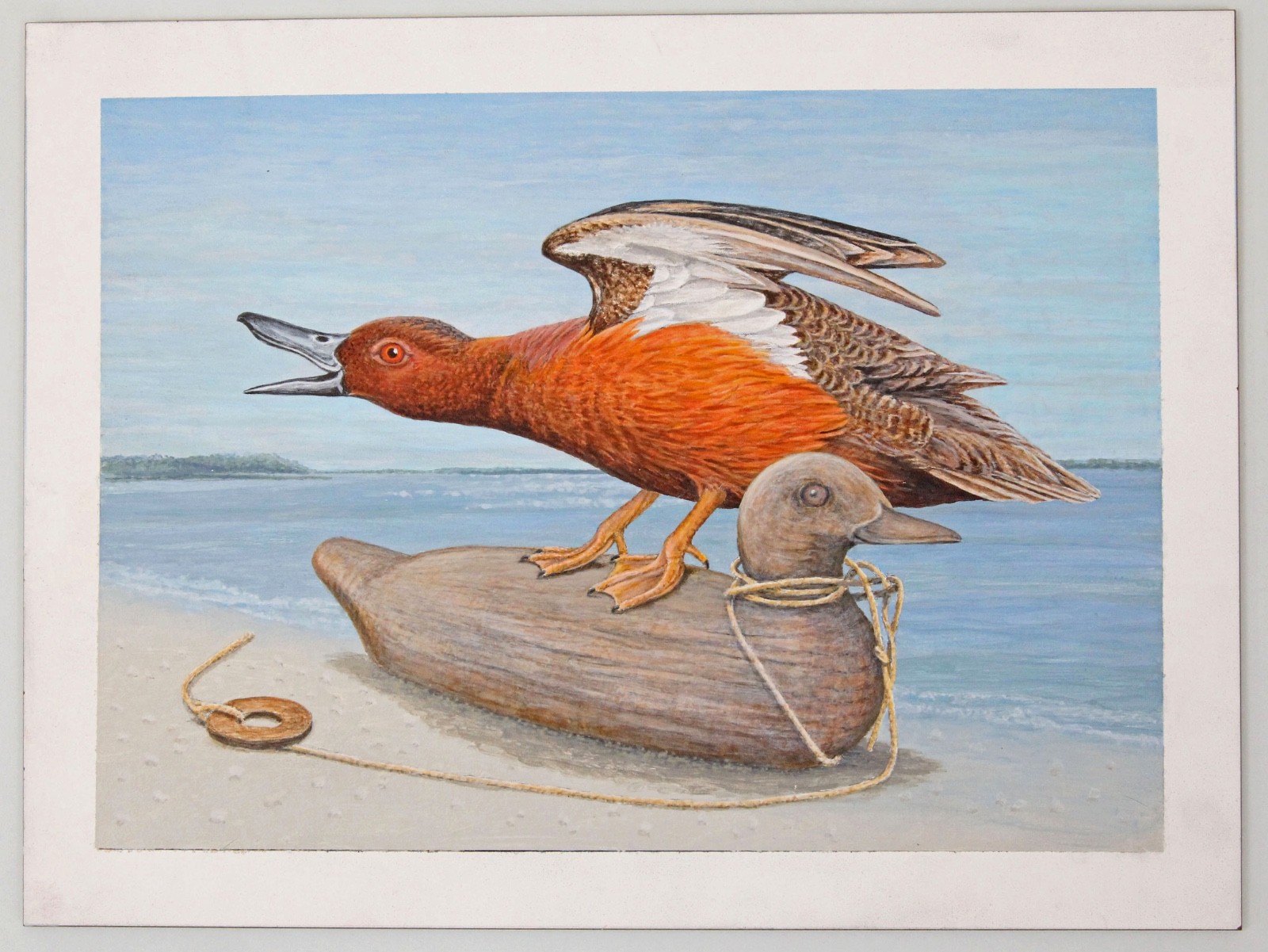 Robert Kusserow Original Acrylic Painting Cinnamon Teal Duck Stamp Listed Artist