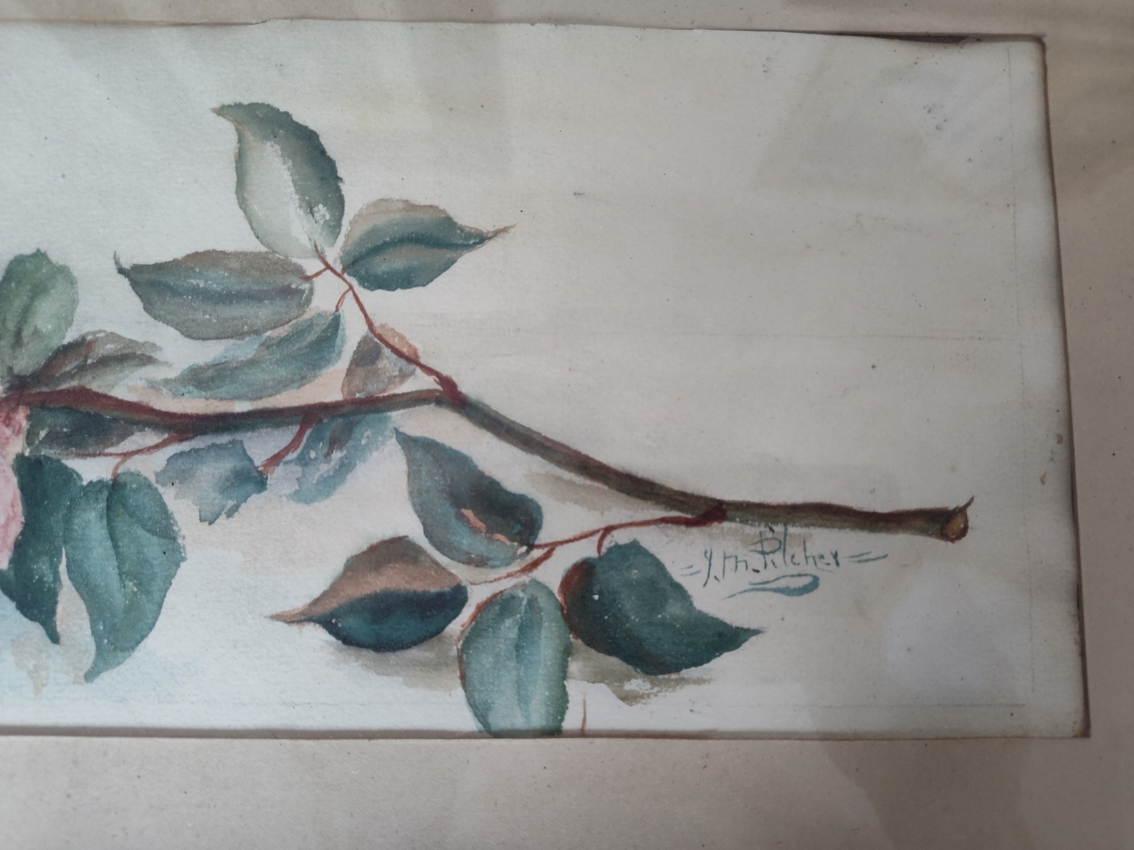 Shabby Chic Vintage Pink Rose Floral Still Life Watercolor Painting Signed