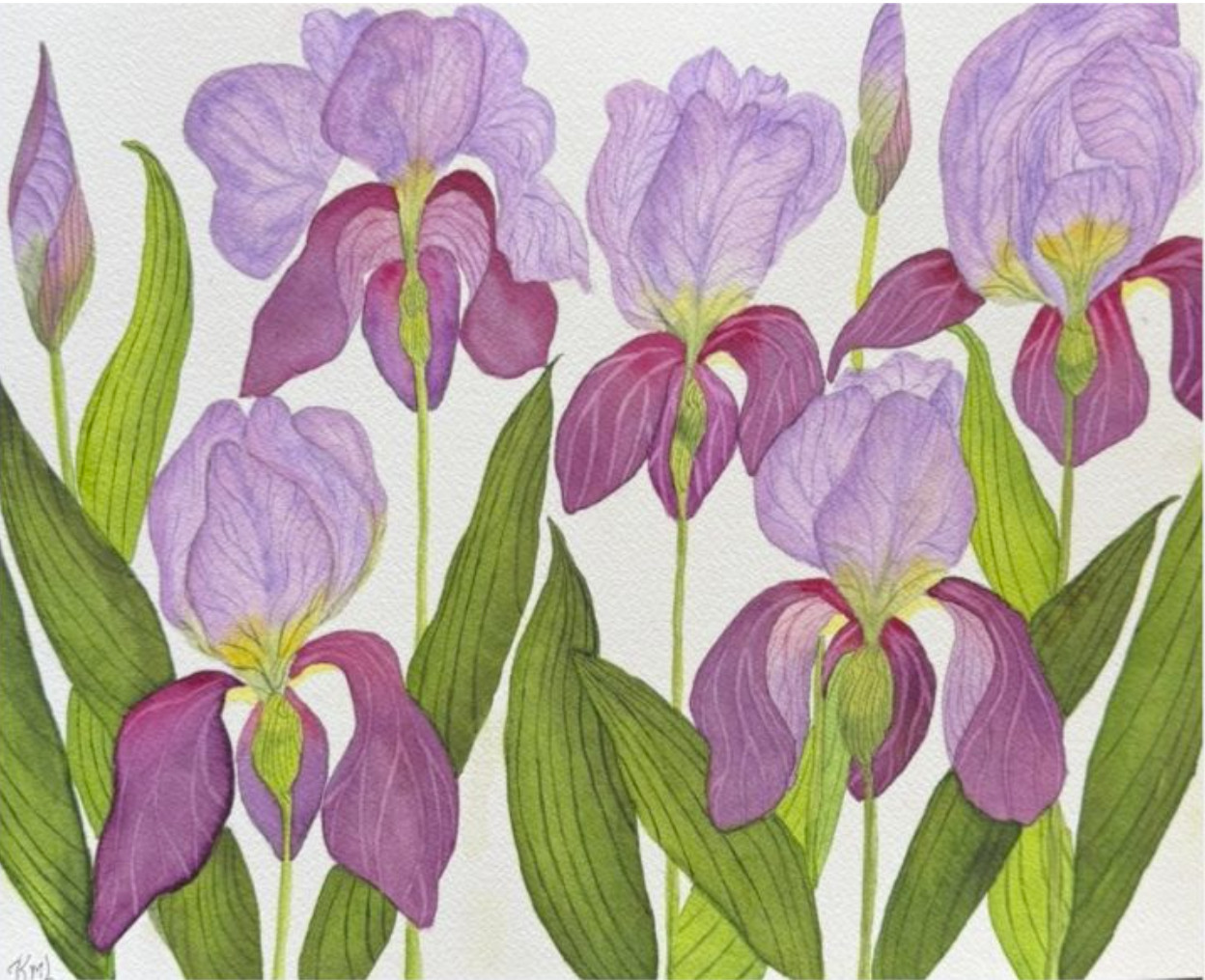 PAINTING WATERCOLOR 11X14 & DOUBLE MAT 16X20 FLOWER IRIS PURPLE LAVENDER MAROON