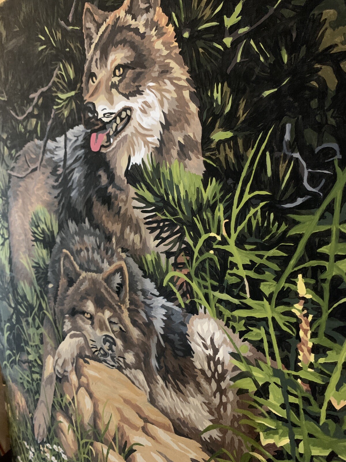 Wolf paint-by-number hand painted completed vintage 16×20 unframed BEAUTIFUL art