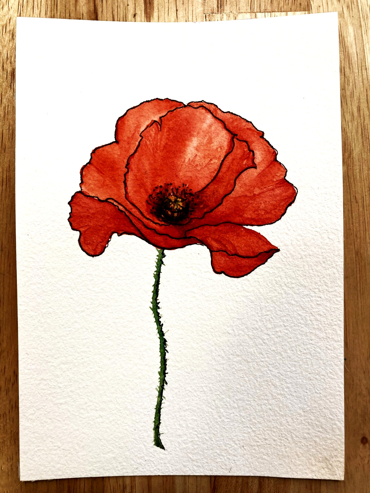 Poppy Flower Abstract Watercolor Original Art Painting Small