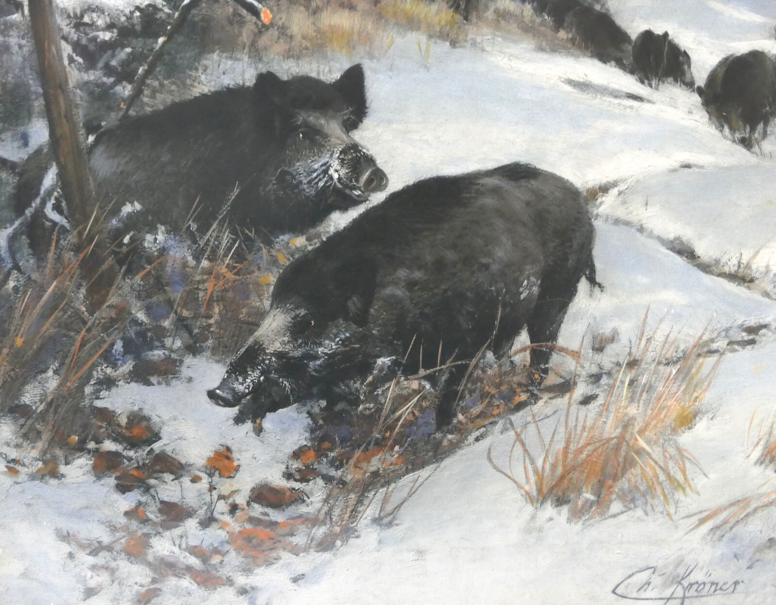 Christian Kröner Gouache – Paper «Wild Boar Rotto» 1893 Framed 53.5 x 37.5 cm