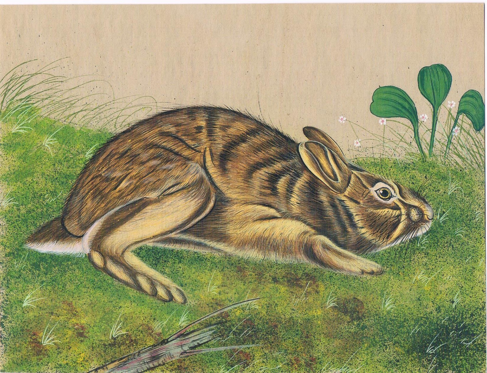 Animal Painting Of Rabbit In Forest Handmade Fine Art On Paper 8×6.25 Inches