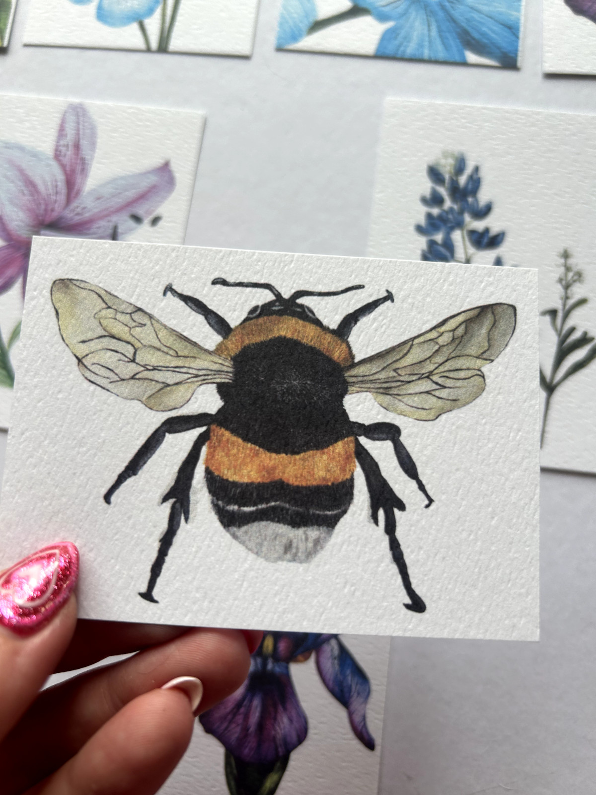 ACEO Edition- Print. Sawyer Crane Bee Bumble Insect Watercolor Wildflower cute