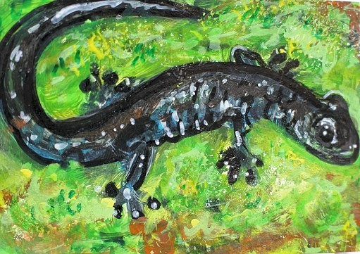 ORIGINAL ACEO Painting SALAMANDER Amphibian Spring Animal Nature Moss ATC ART