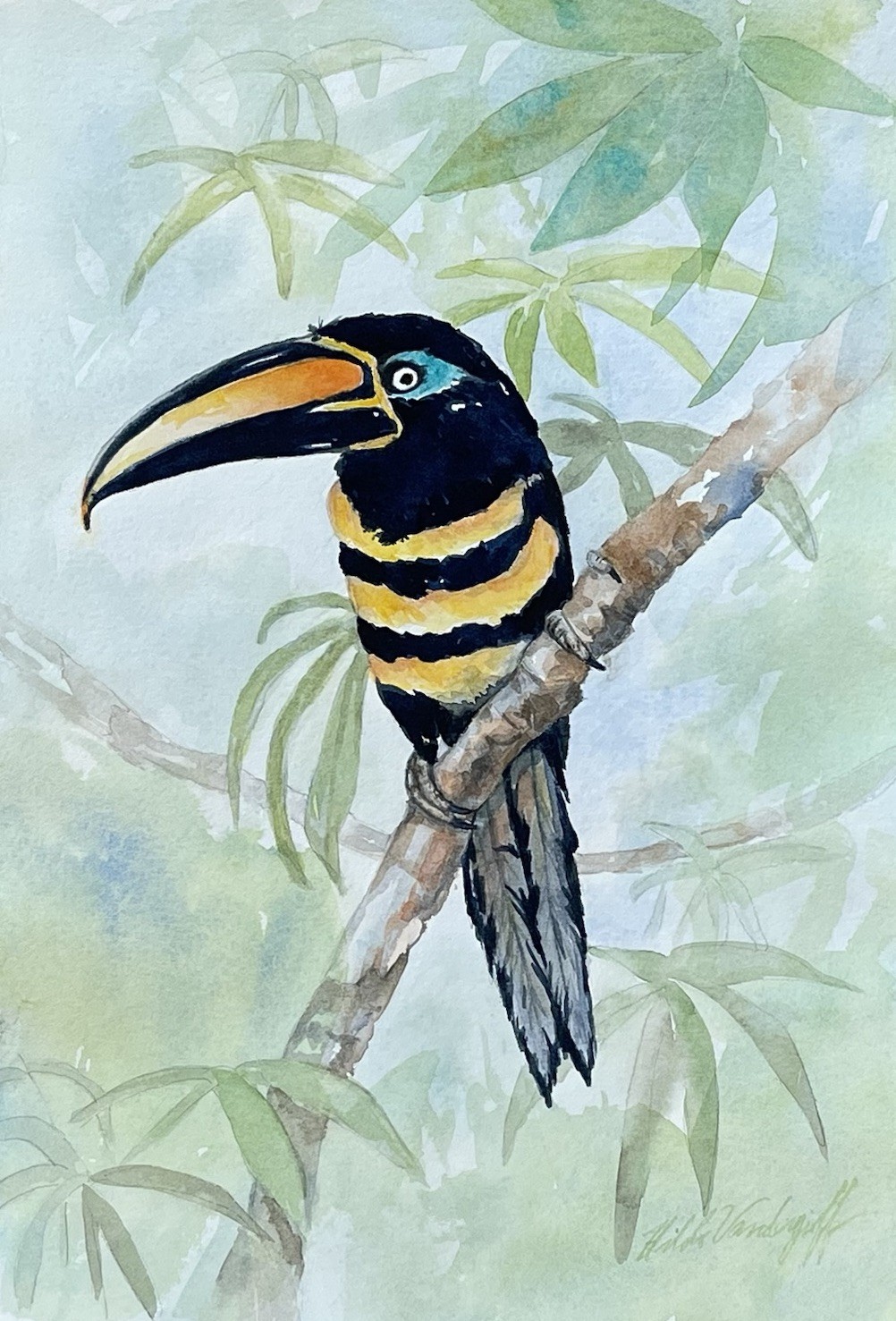 Toucan Bird Original Watercolor Painting