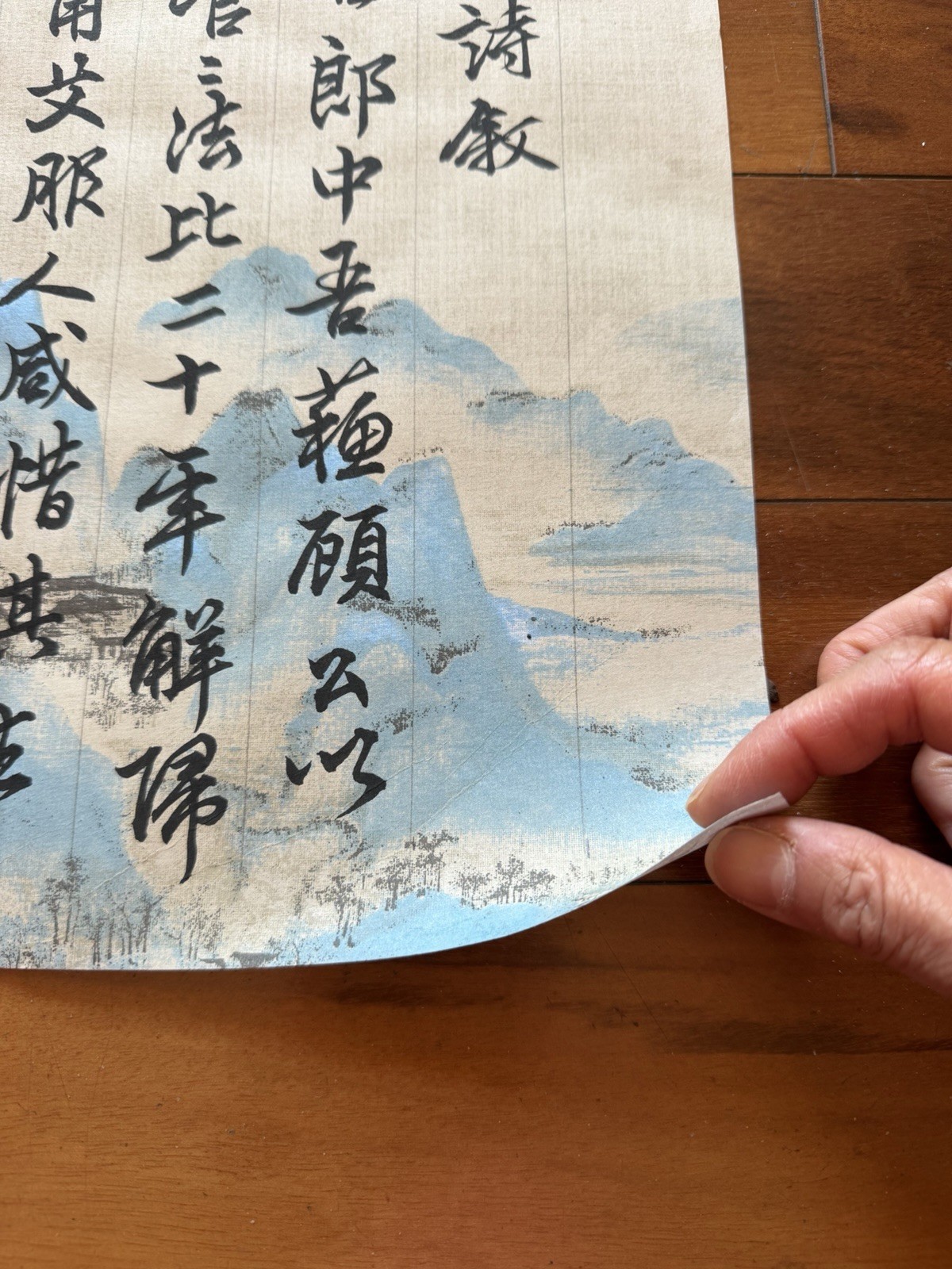 Unframed Chinese calligraphy Part Of WuYangZi Preface Wax Paper Banner悟陽子詩序2626