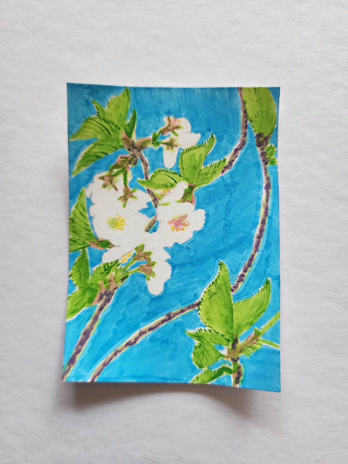 ACEO Original Abstract Acrylic Painting Branch of Cherry Blossom Flowers by Kiva