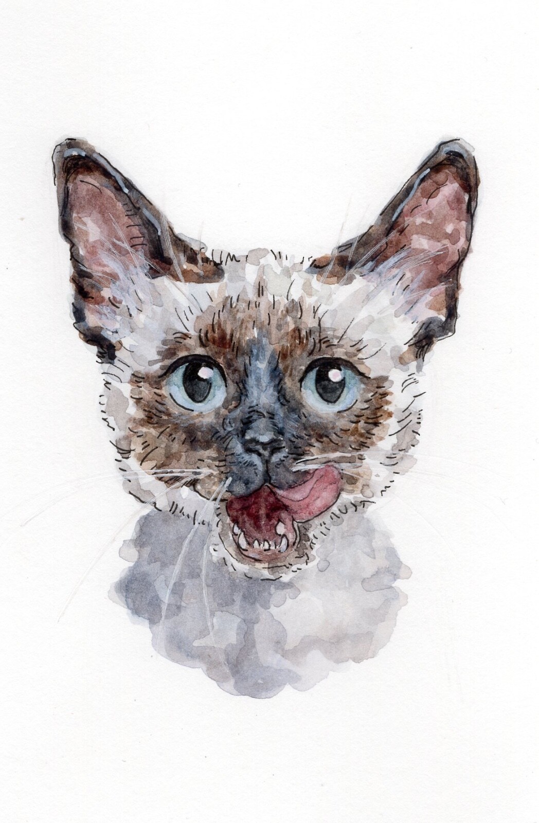 Handmade Watercolor Painting Portrait Siamese kitten 4×6 inches